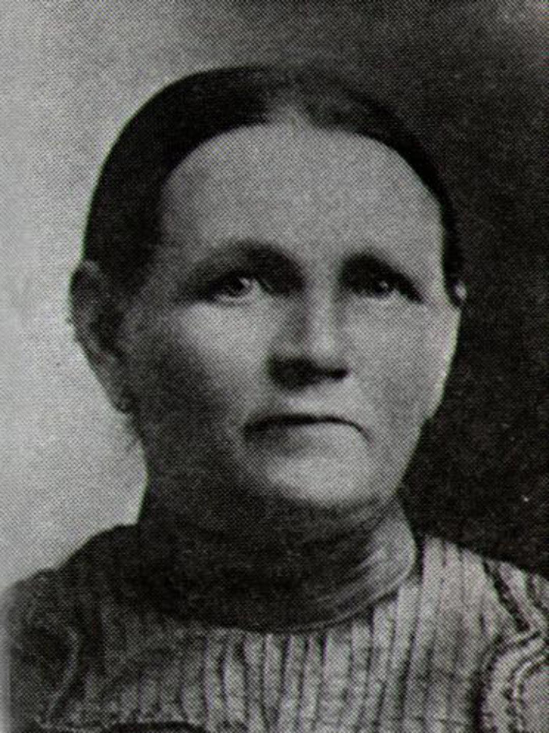 Birtha Christine Andersen (1855 - 1933) Profile